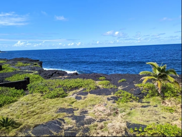 Private lanai and lava shore access