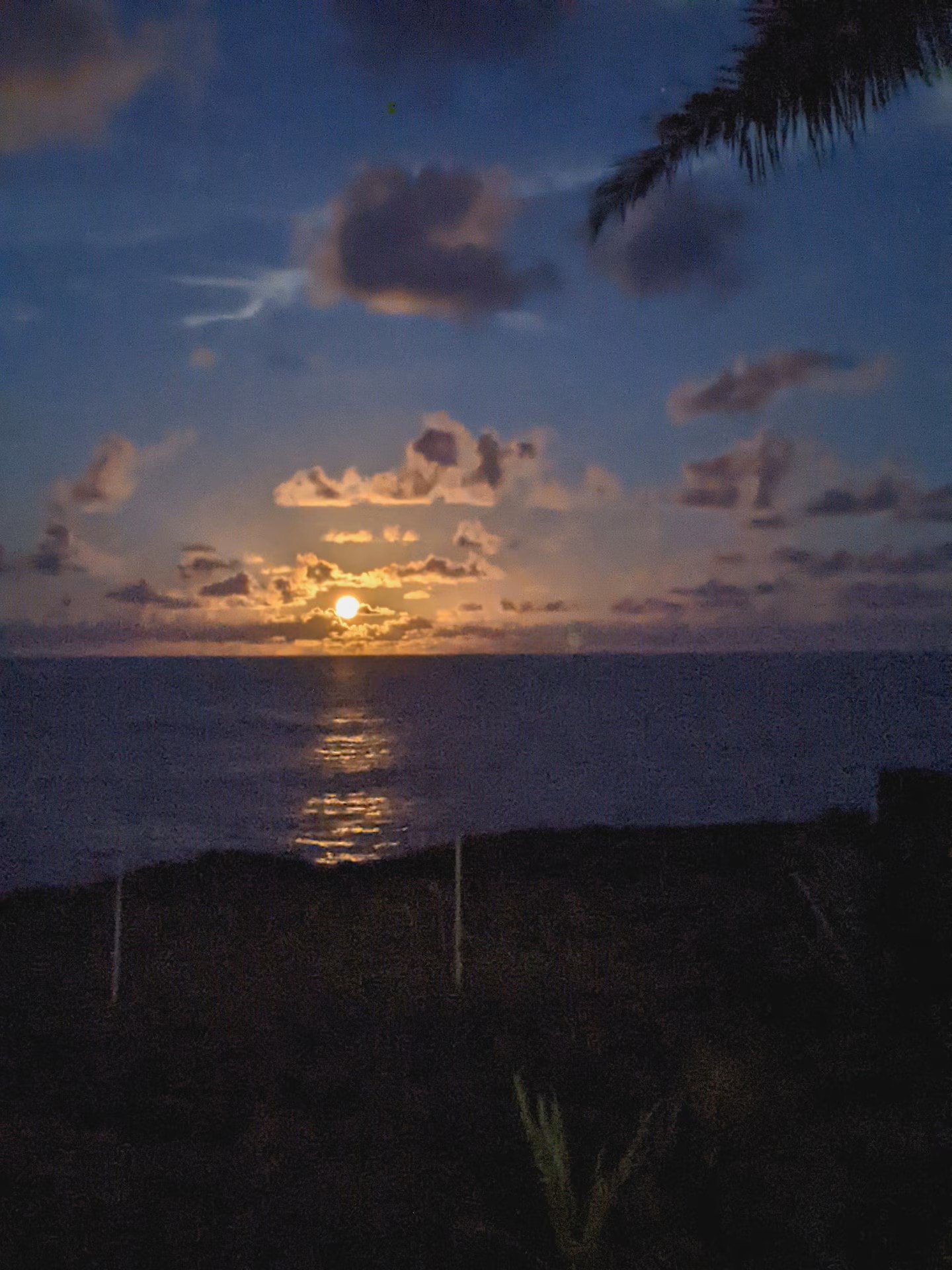 Moonrise over the Pacific Ocean with golden reflection on the water, lava shore and palm trees in foreground